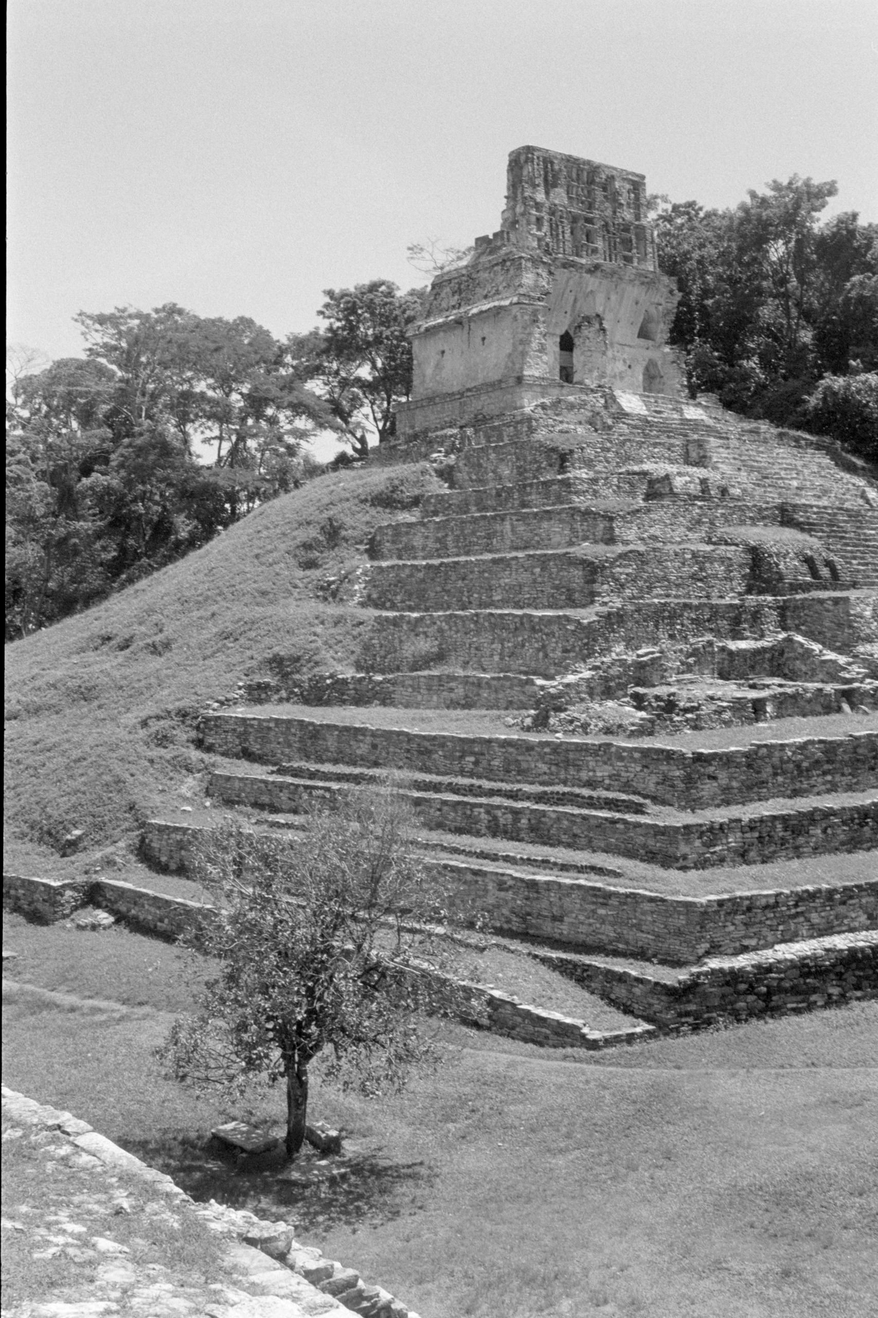 AHP FilmScan 240807 0655